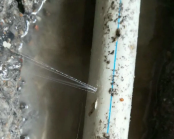 馆陶卫生间测漏水多少钱